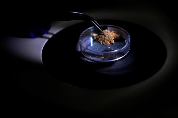 巴西用法医技术追踪黄金来源，整治非法采矿
